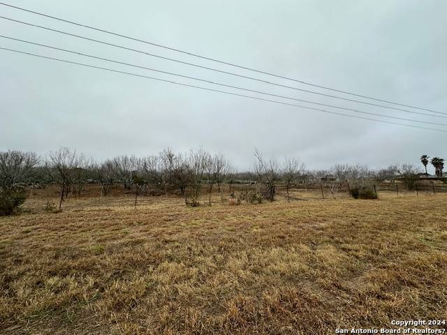 Jourdanton, TX 78026,TBD CHRISTINE RD