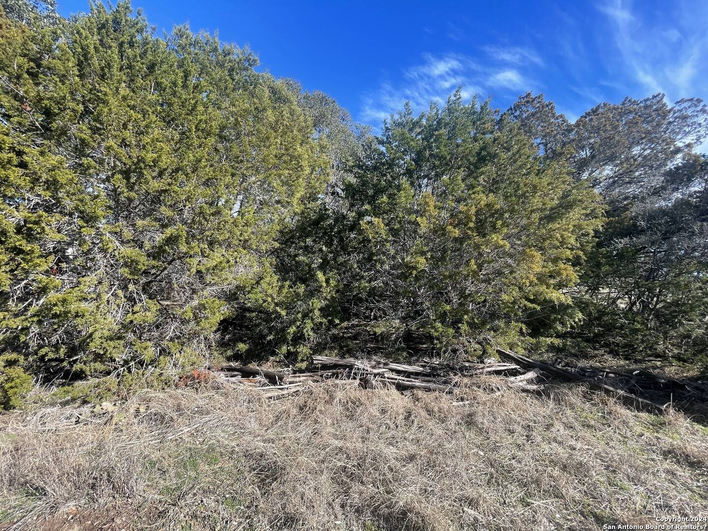 Spring Branch, TX 78070,247 Canyon Pass