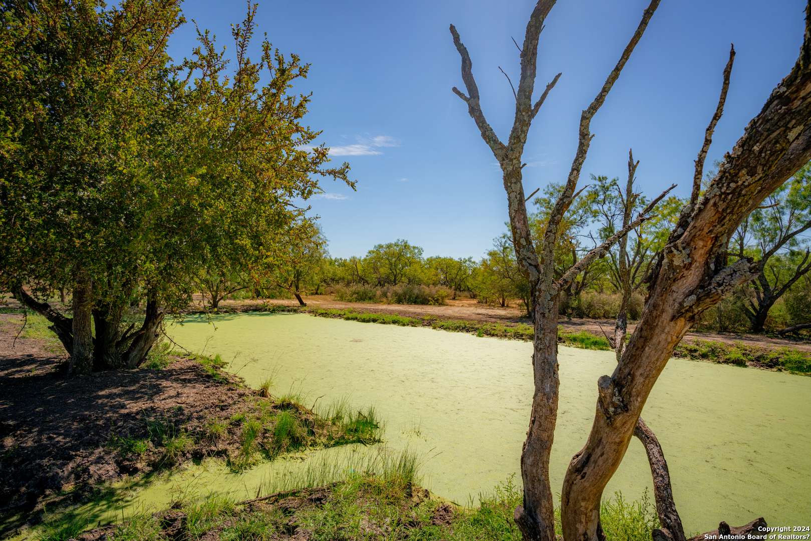 San Saba, TX 76877,800 CR 144