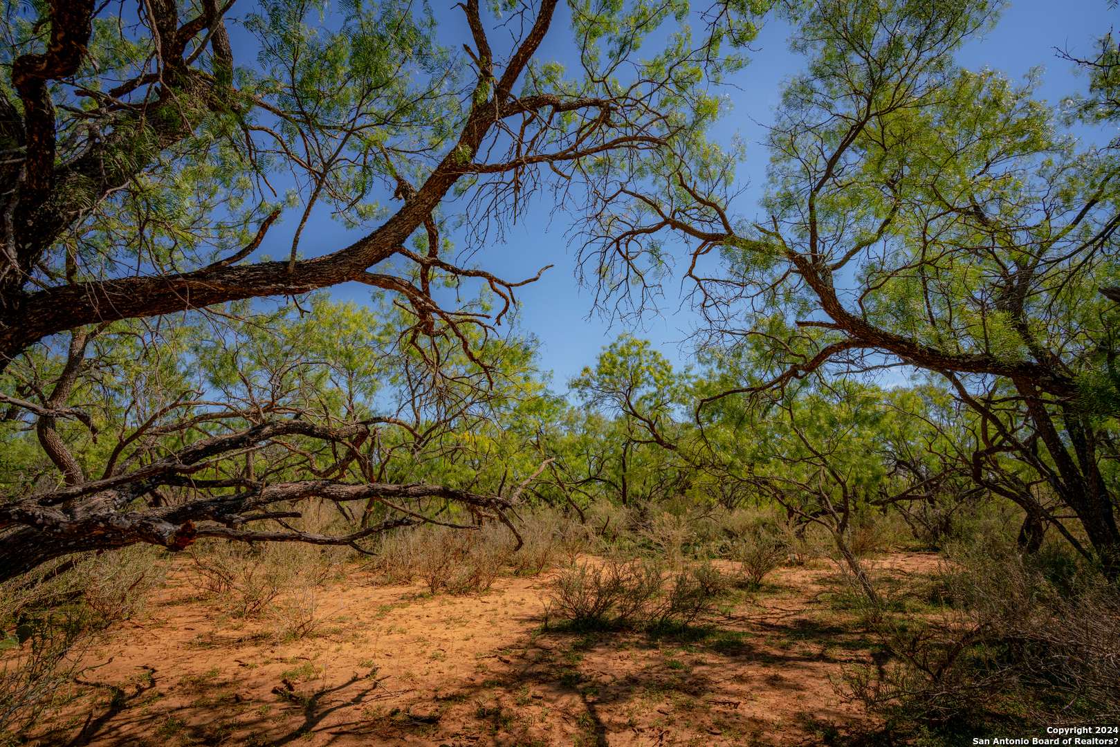 San Saba, TX 76877,801 CR 144