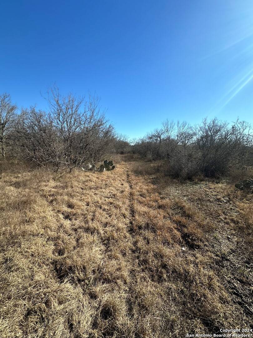 Hondo, TX 78861,201 PR 4656