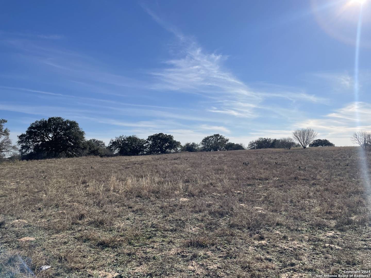 Devine, TX 78016,LOT #35 10.19AC FM 7755