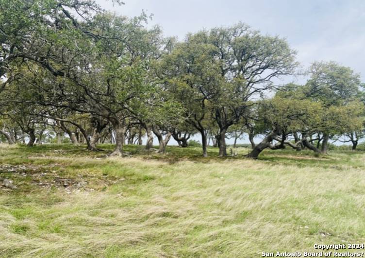 Kerrville, TX 78028,45 Table Rock