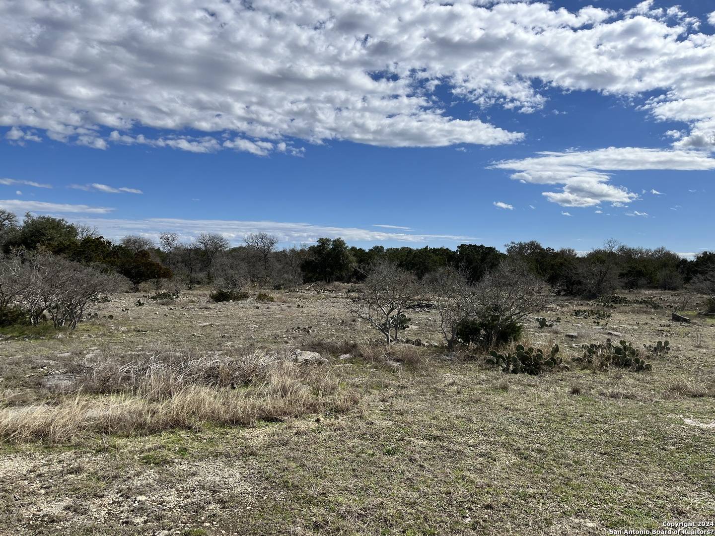 Bandera, TX 78003,338 Highland Meadows