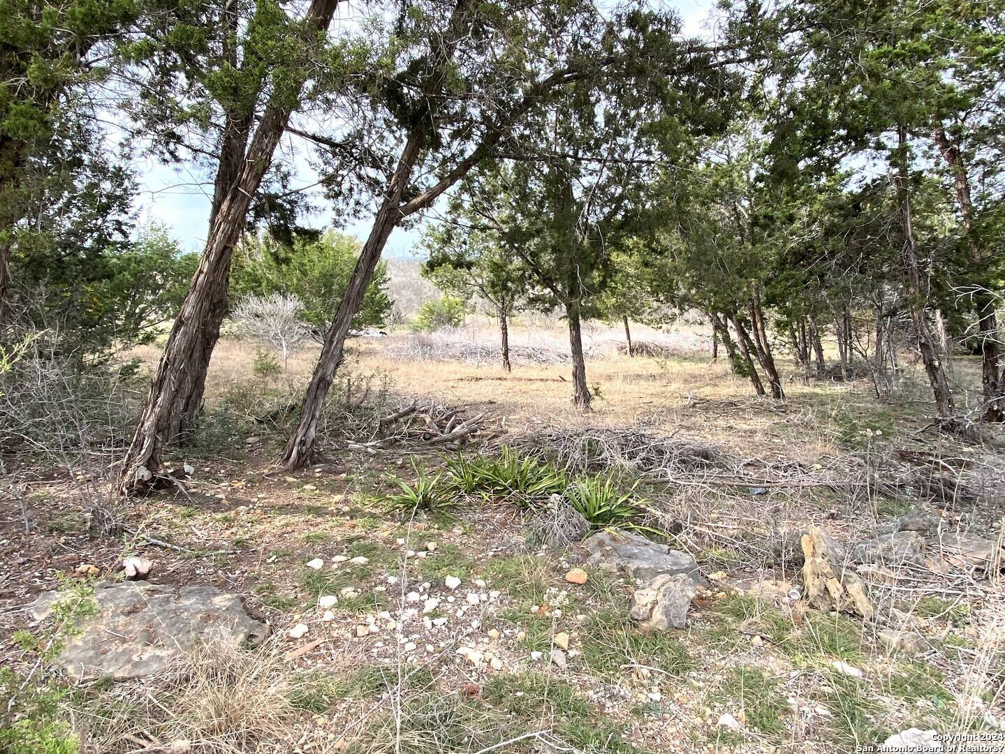 Bandera, TX 78003,LOTS 28-29 LAKESHORE