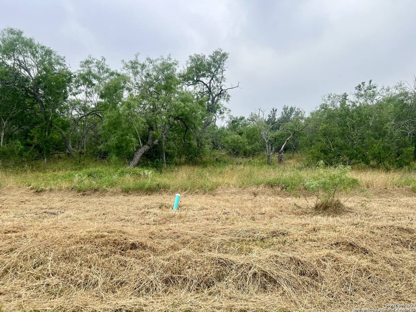 Smiley, TX 78159,LOT 6 Wisteria Lane