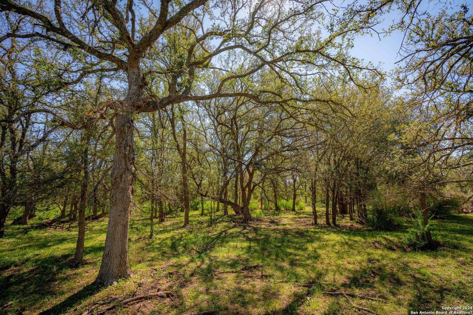 San Saba, TX 76877,000 TX-16