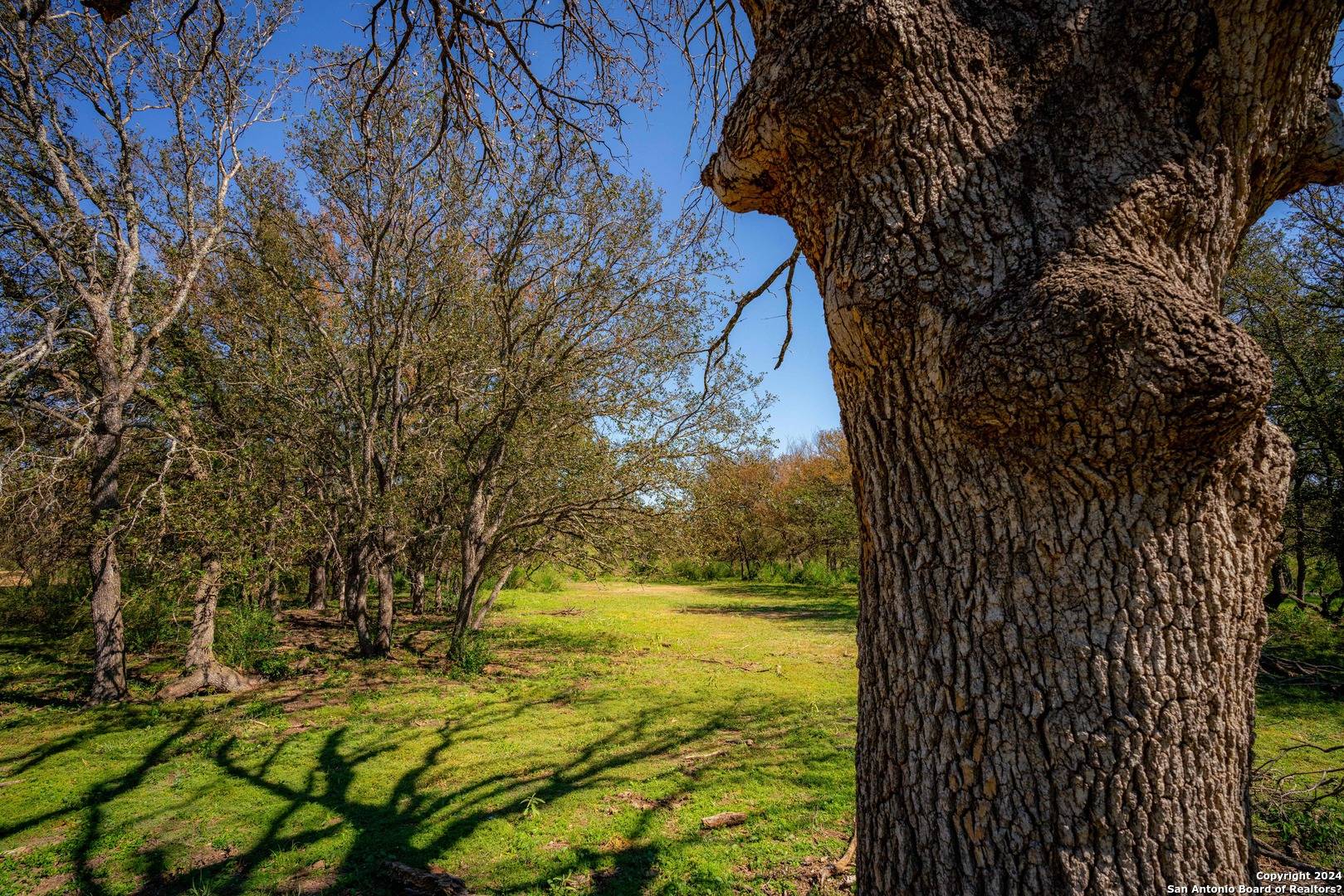 San Saba, TX 76877,000 TX-16