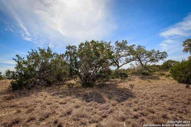 Spring Branch, TX 78070,1025 Branch Crossing