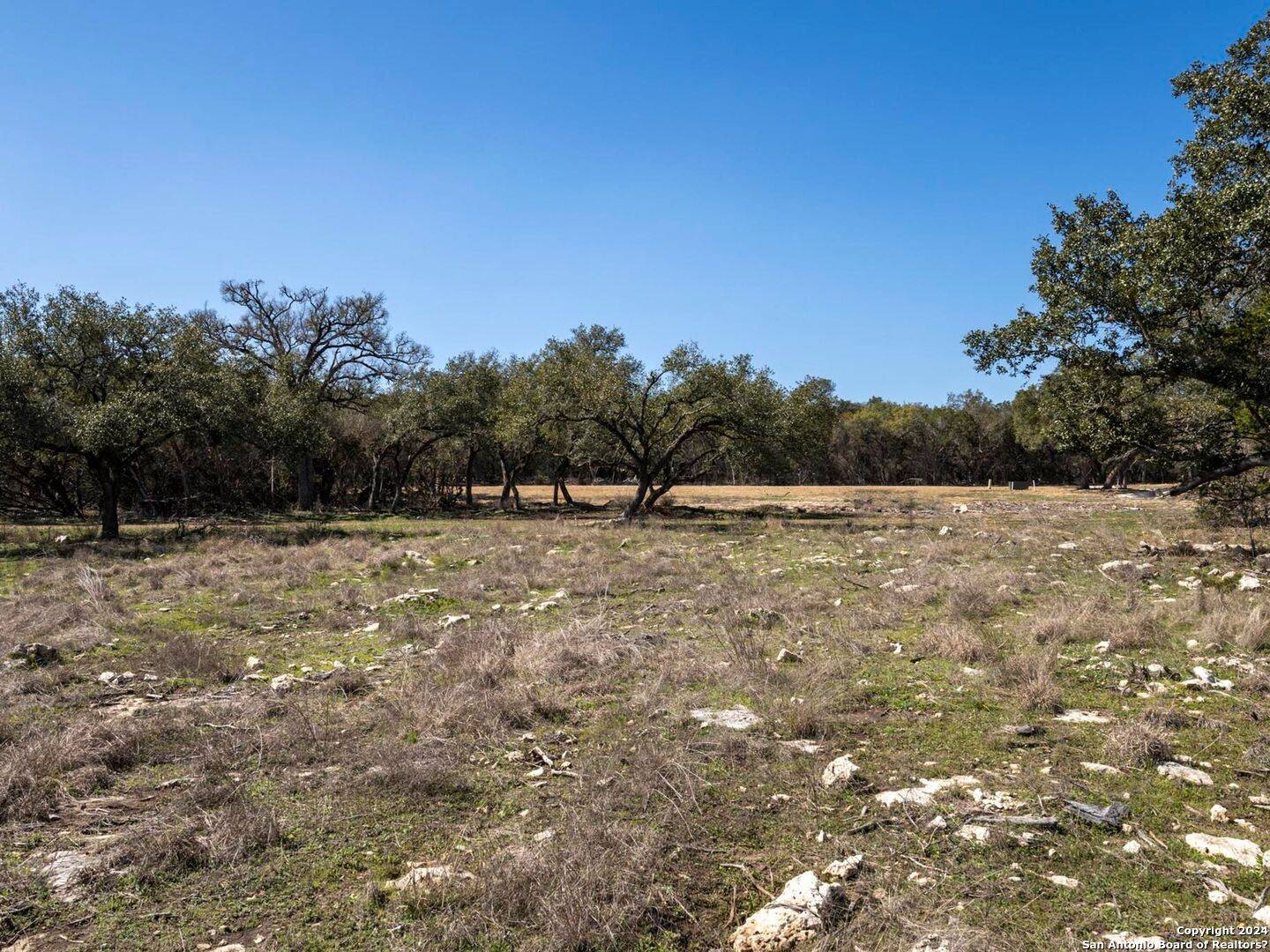 Boerne, TX 78006,LOT 13 Cielo Vista