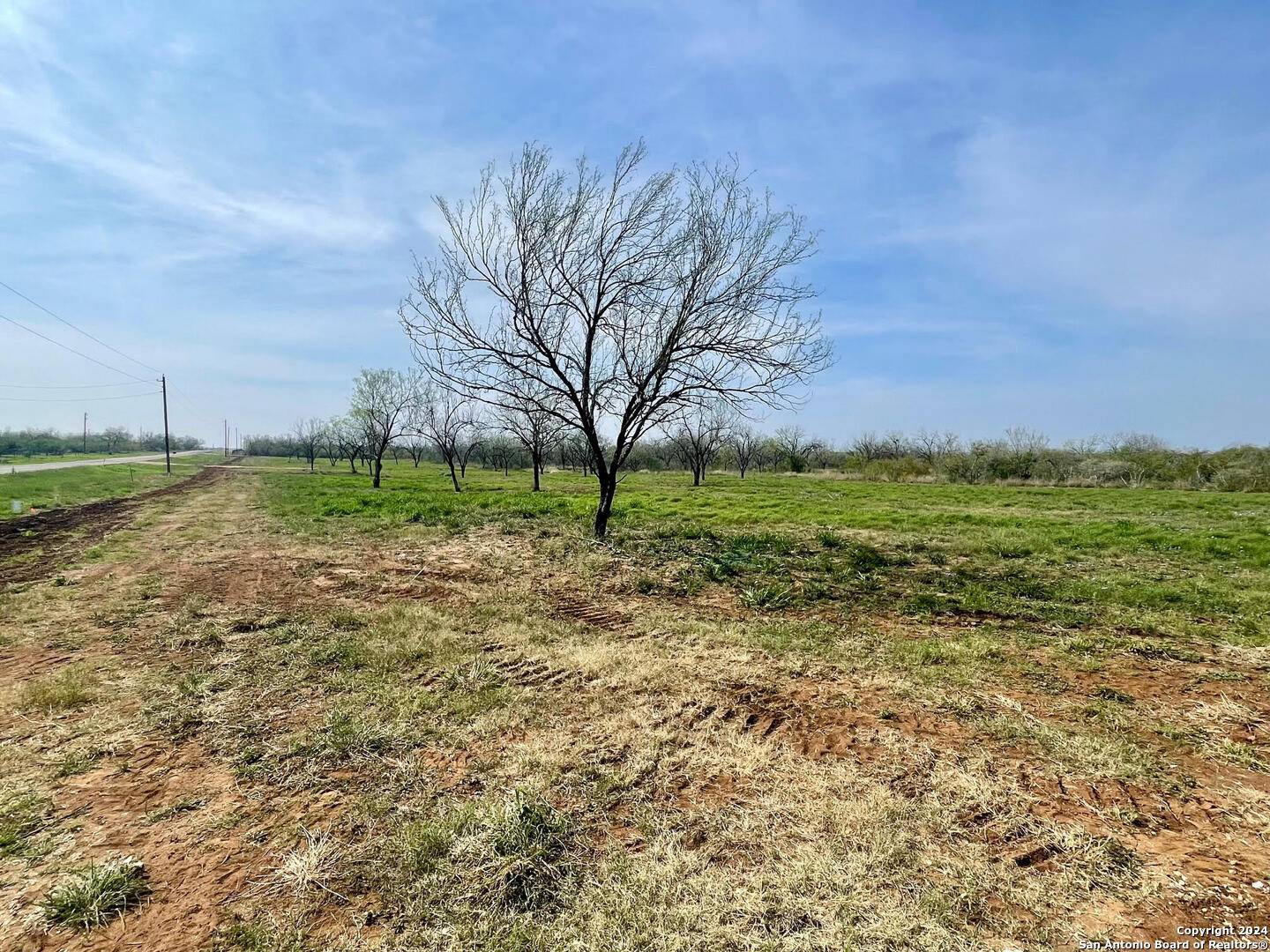 Jourdanton, TX 78026,TRACT 8 FM 1332