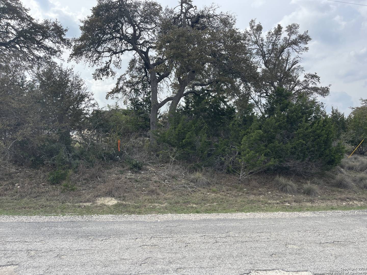 Blanco, TX 78606,111 William Woods