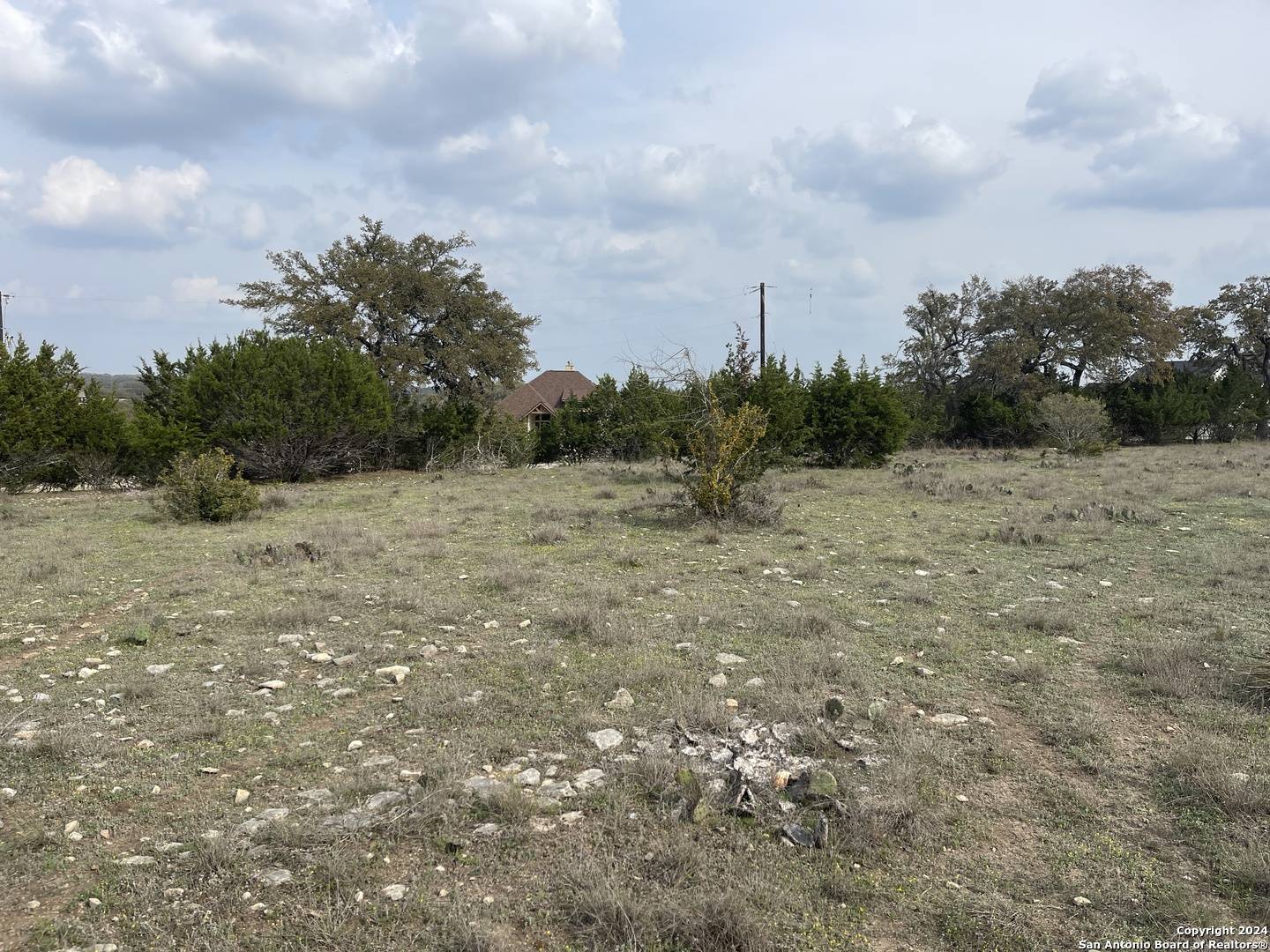 Blanco, TX 78606,113 William Woods