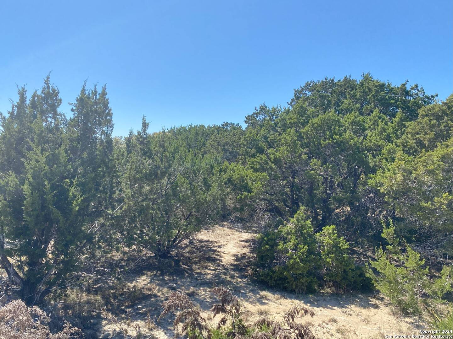 Pipe Creek, TX 78063,LOT 28 DEER OAKS DR