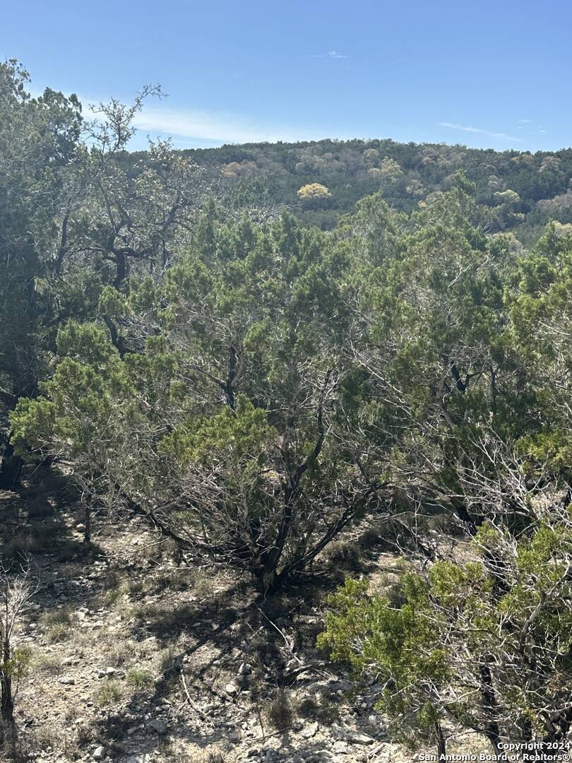 Lakehills, TX 78063,LOT 57 LAKERIDGE LOOP