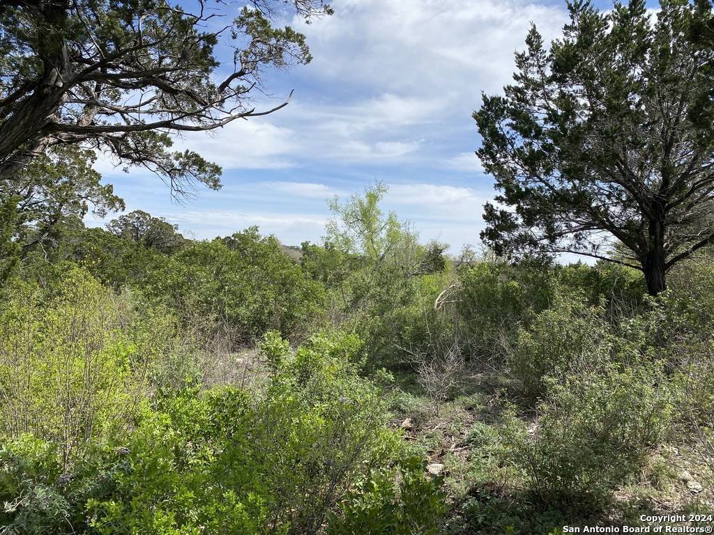 Mico, TX 78056,LOT 32 PR 2775