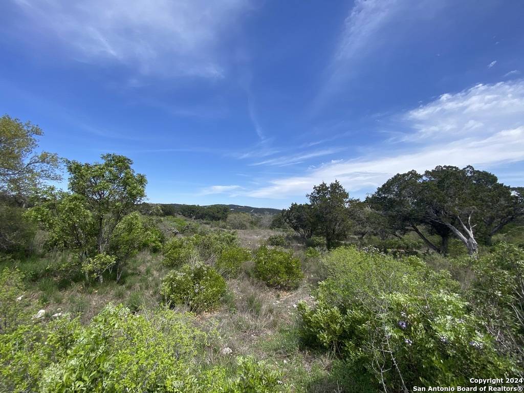 Mico, TX 78056,LOT 32 PR 2775