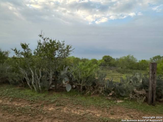 Pleasanton, TX 78064,000 CR 426