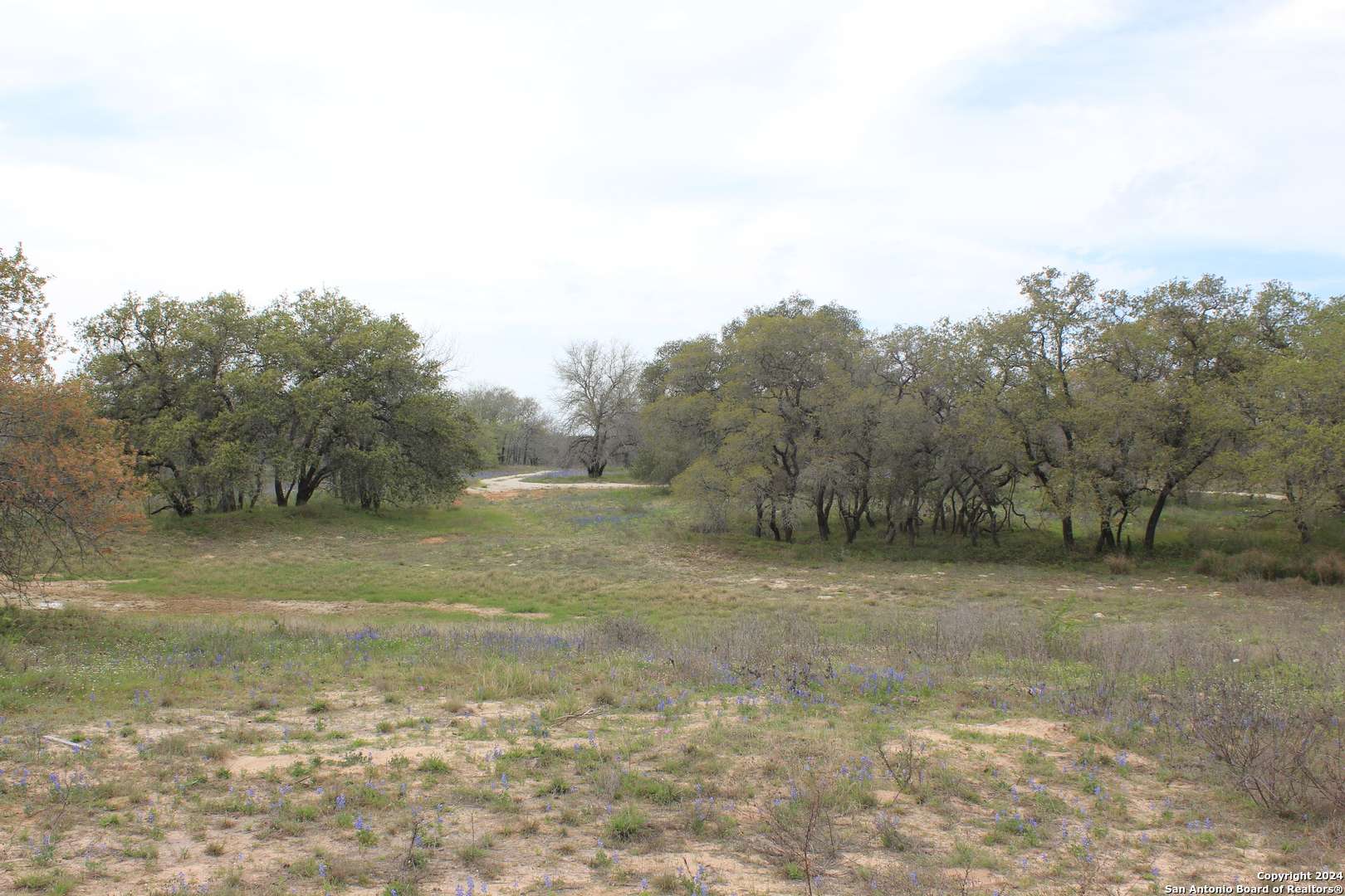 Natalia, TX 78059,818 Encino Way