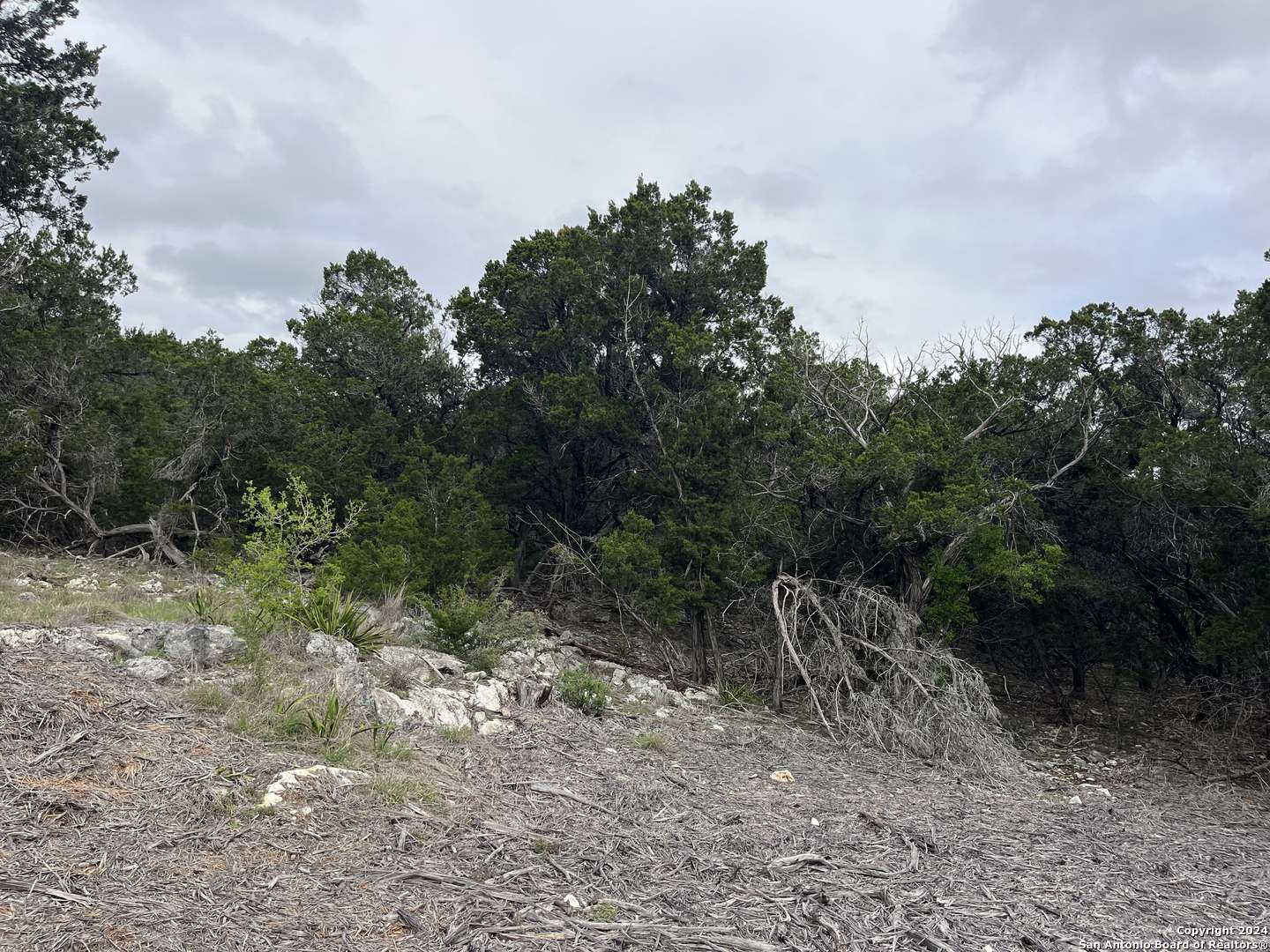 Boerne, TX 78006,LOT 34 Monterey Trail