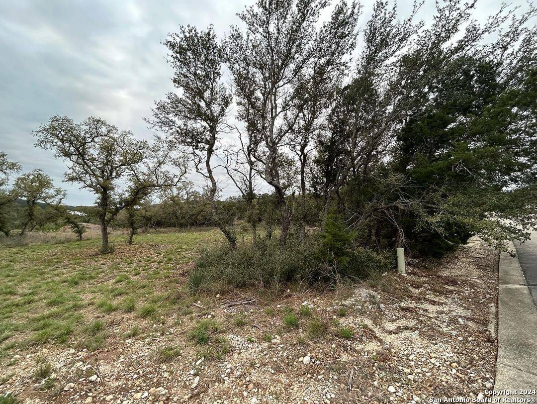 Mico, TX 78056,863 Private Road 1742