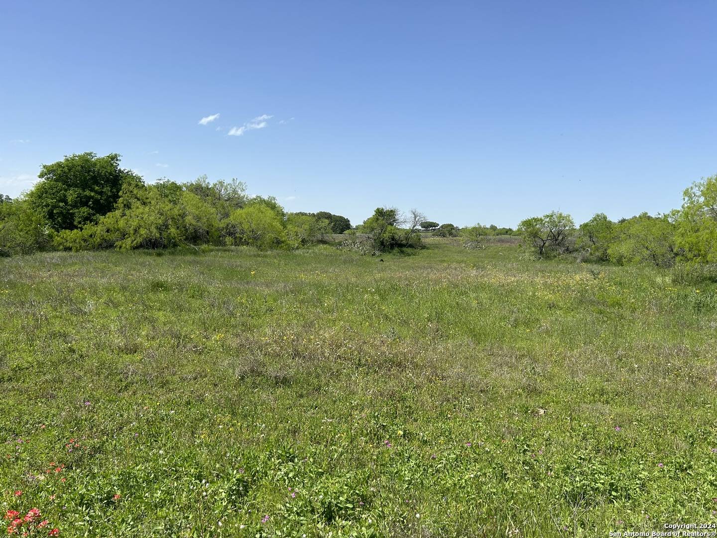 La Vernia, TX 78121,TBD County Road 342