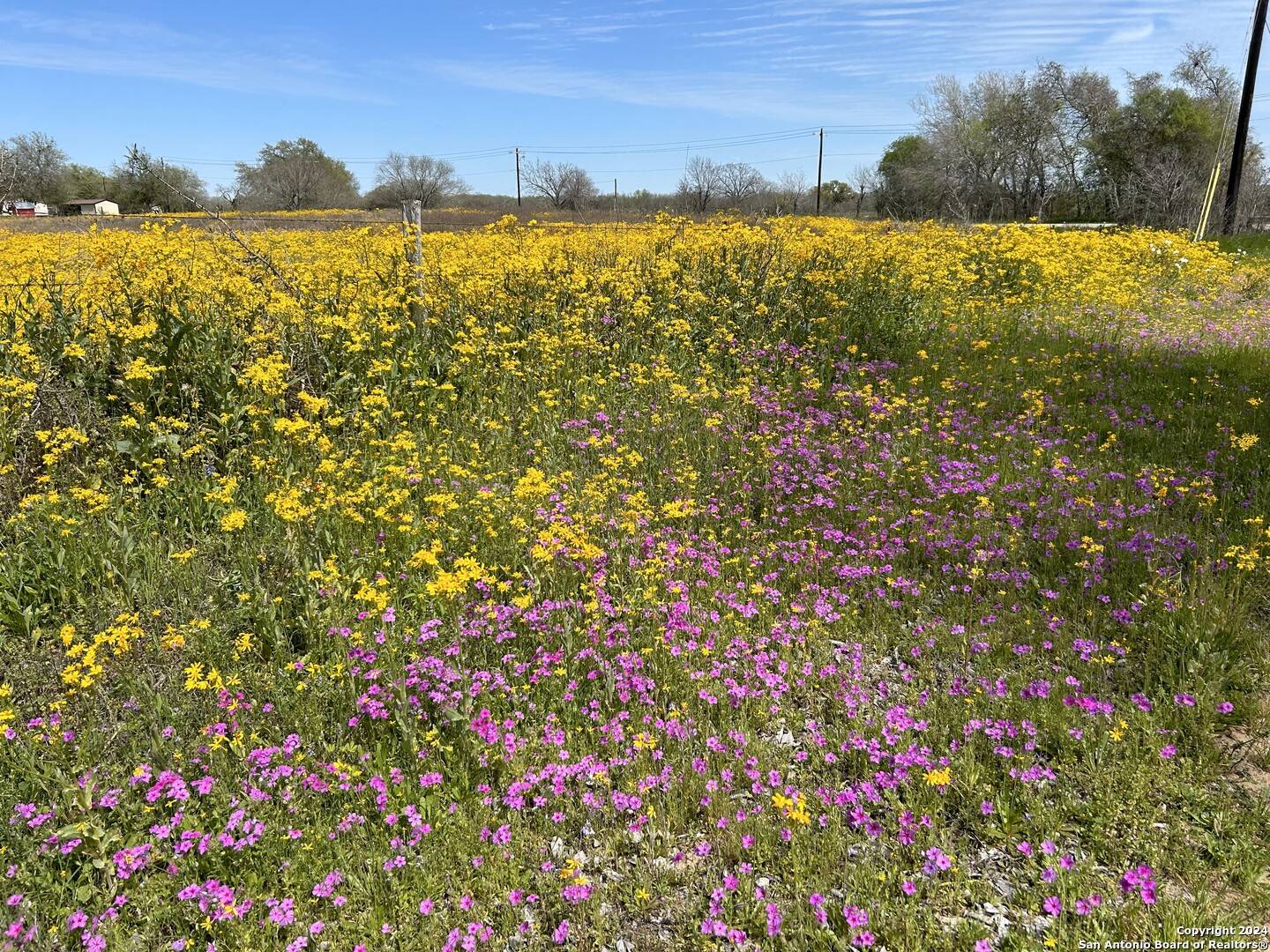 La Vernia, TX 78121,TBD County Road 342