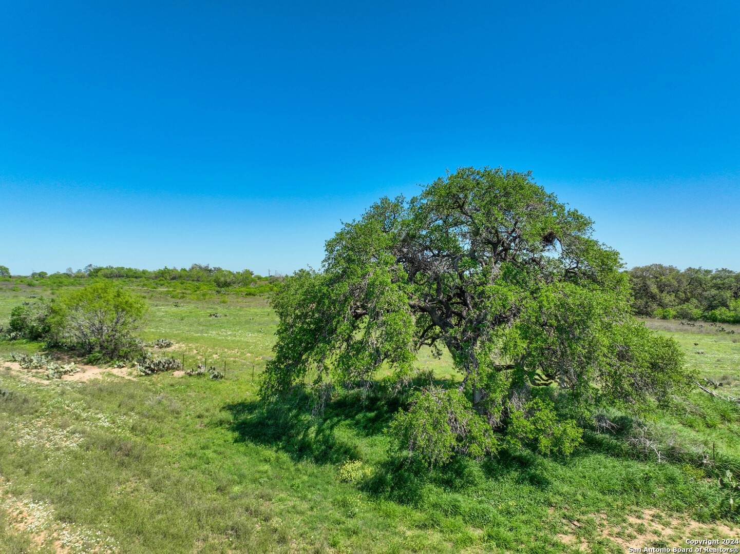 Poteet, TX 78065,434 Tank Hollow