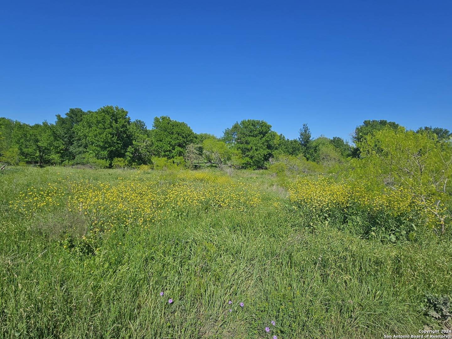 Lockhart, TX 78644,7756 State Park