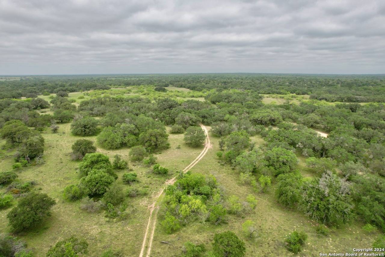 Natalia, TX 78059,191.5 AC CR 770