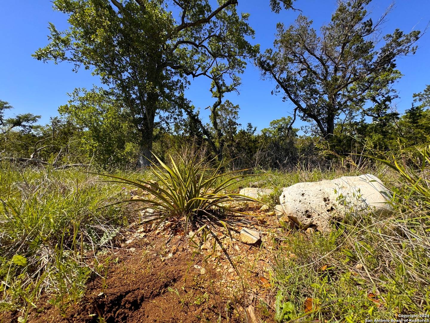 New Braunfels, TX 78132,1345 powder ridge