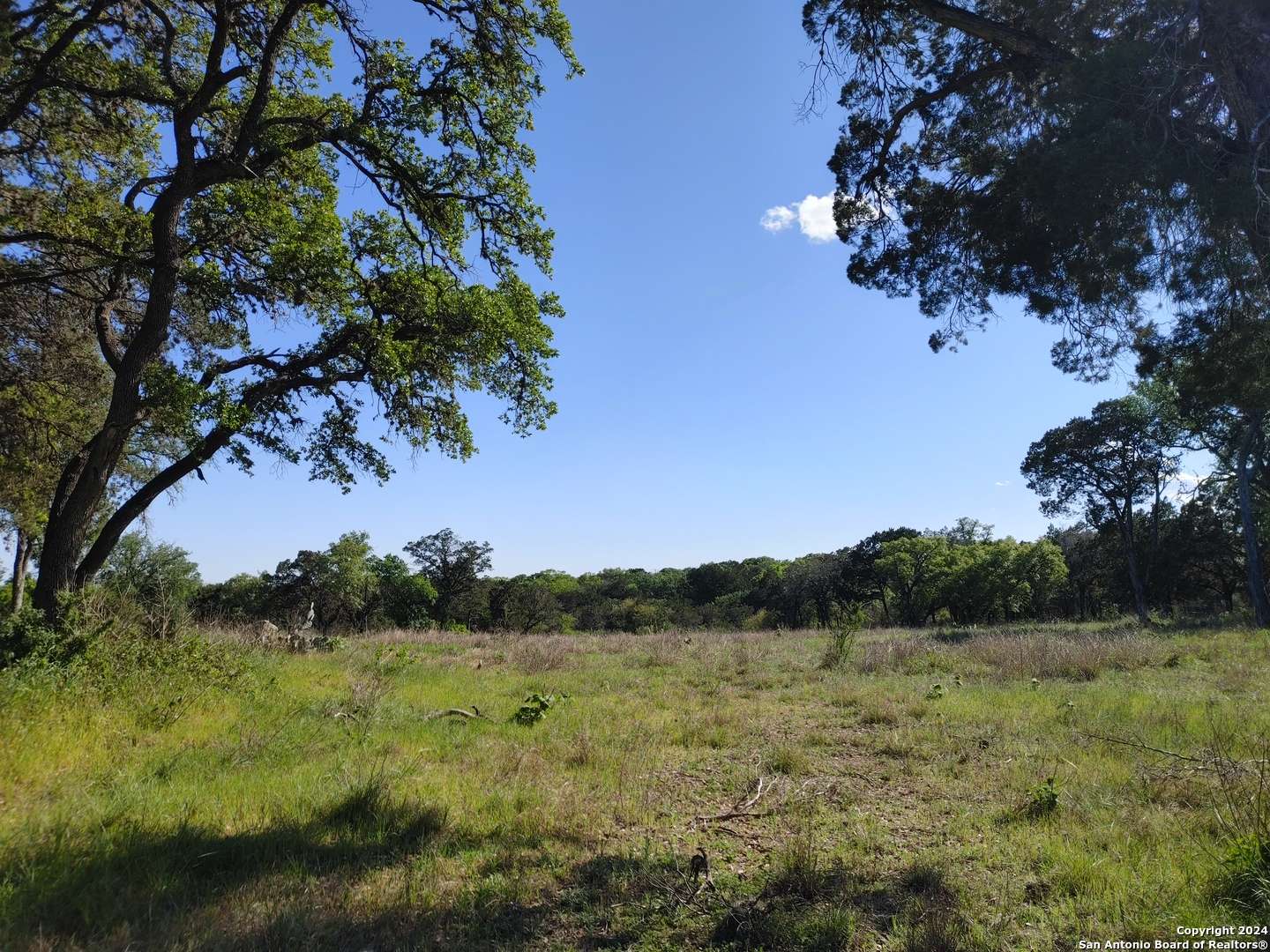 New Braunfels, TX 78130-6071,1421N WALNUT AVE