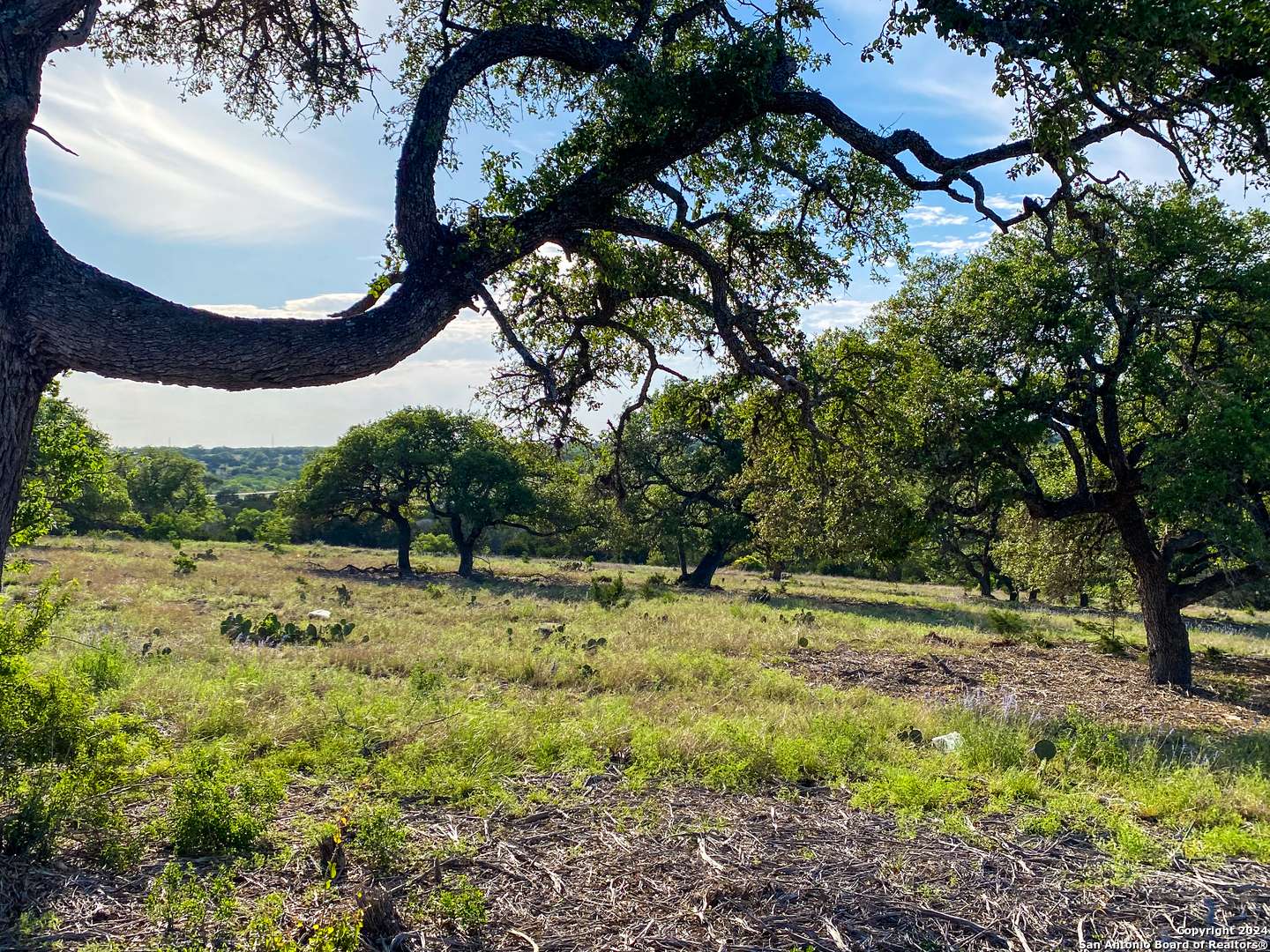 Kerrville, TX 78028,LOT 153 Loma Vista Ranch