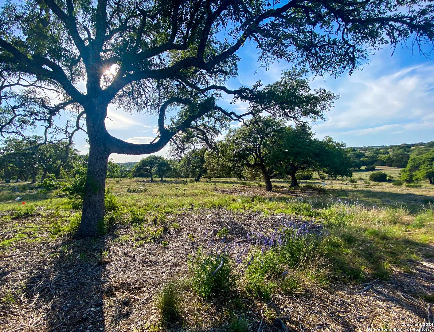 Kerrville, TX 78028,LOT 153 Loma Vista Ranch