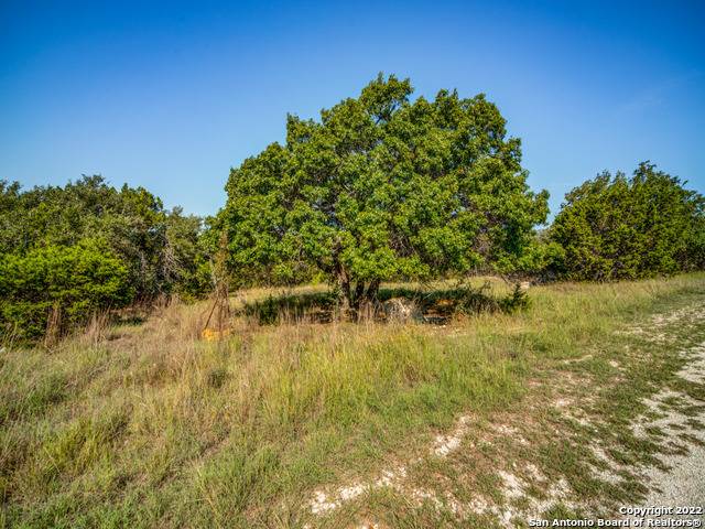 Canyon Lake, TX 78133,279 Magnolia Meadows