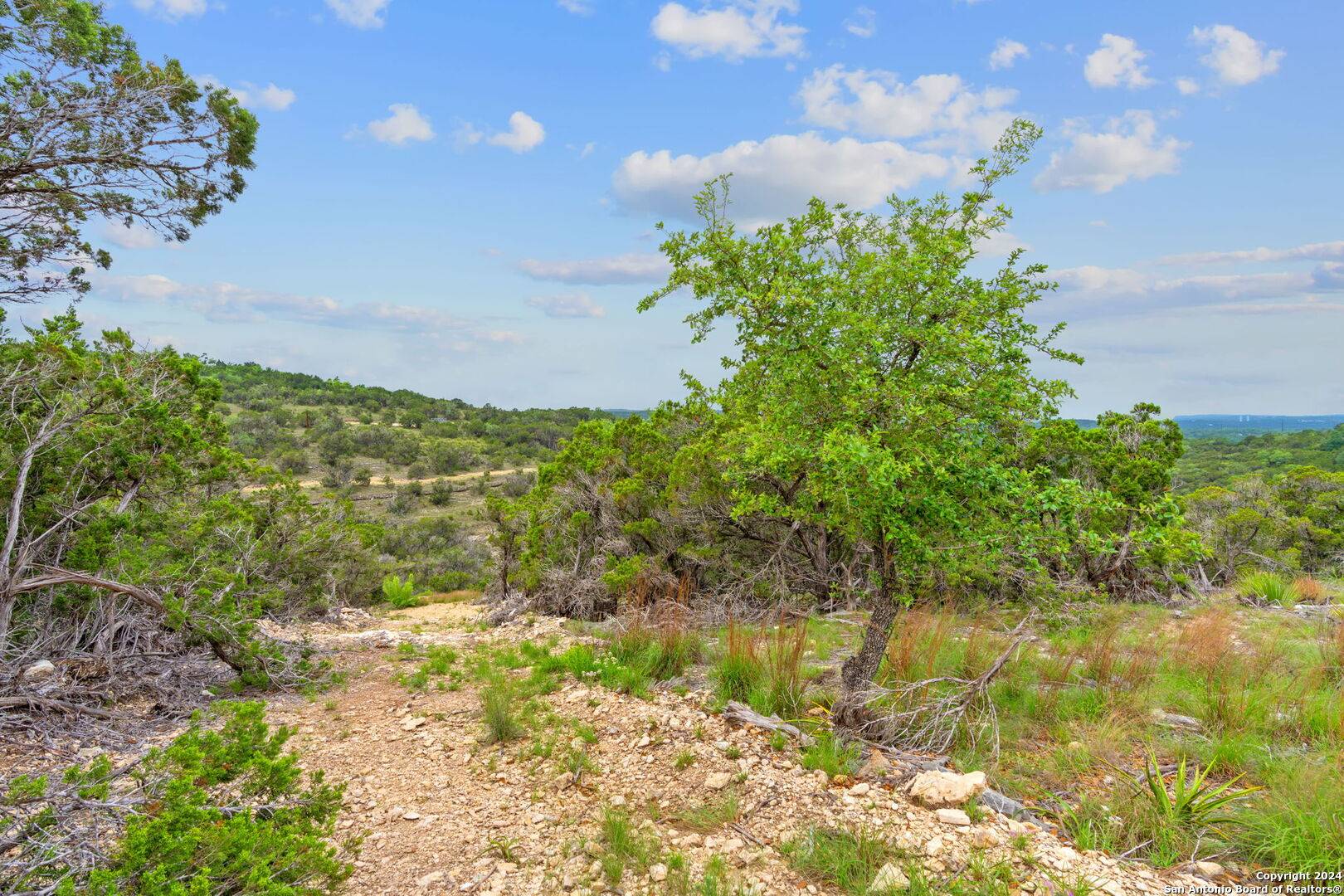 Wimberley, TX 78676,1541 Hilltop Drive