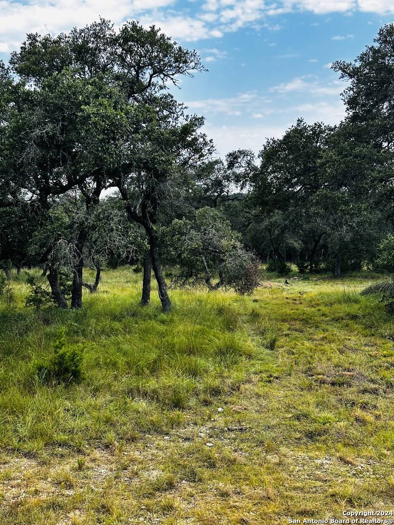 Boerne, TX 78006,106 Country Meadow Dr