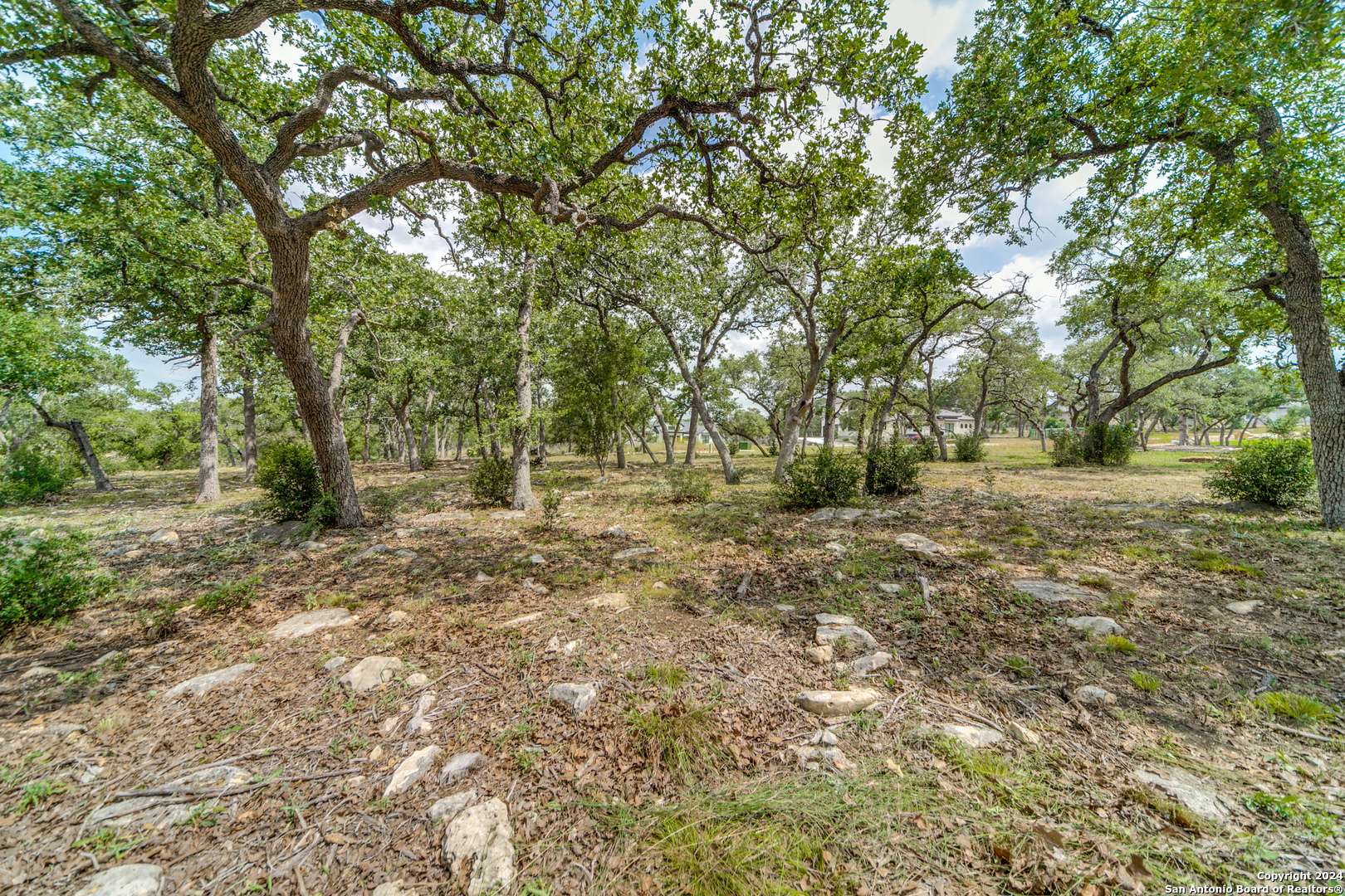 Bulverde, TX 78163,723 post oak ridge