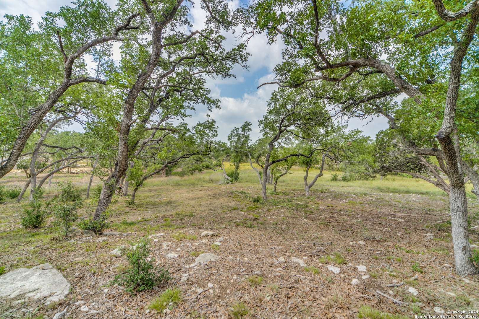 Bulverde, TX 78163,723 post oak ridge