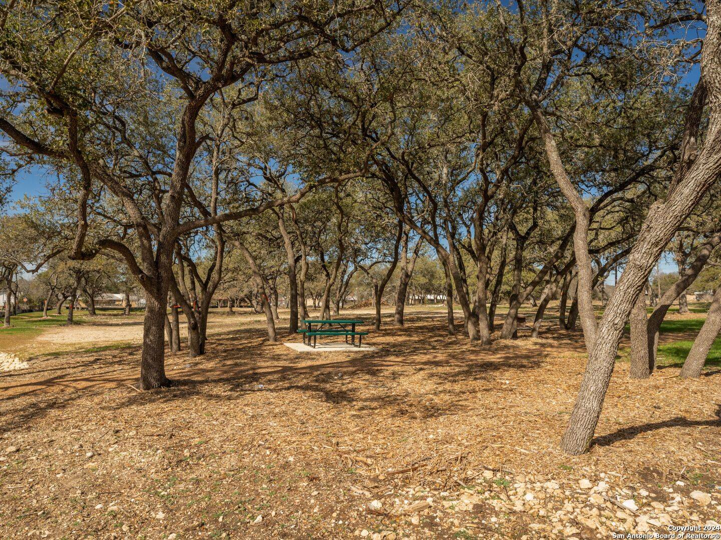 Blanco, TX 78606,LOT 2 12th