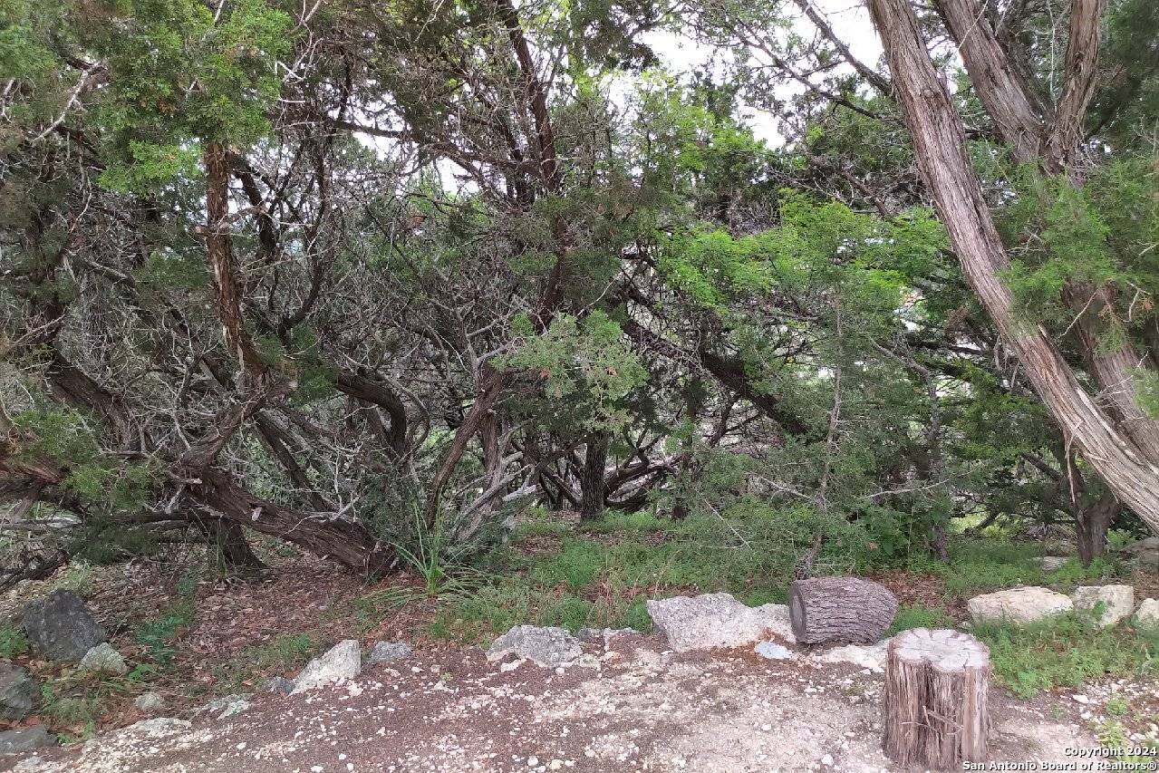 Canyon Lake, TX 78133,618 CLOUD TOP