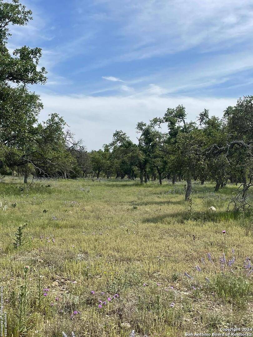 Harper, TX 78631,LOT 20 Scott Branch