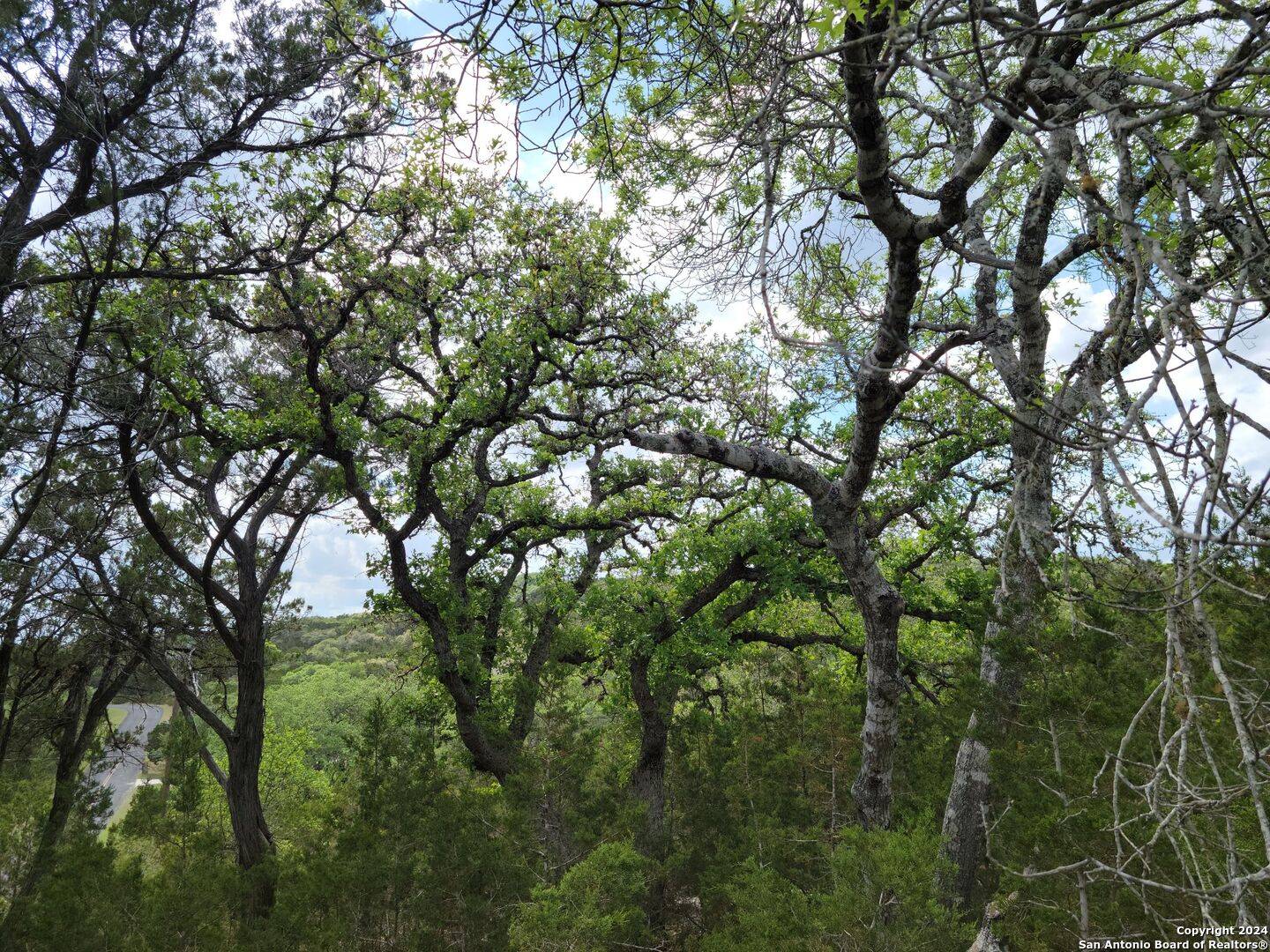 Bulverde, TX 78163,2515 Smoke Rise Canyon