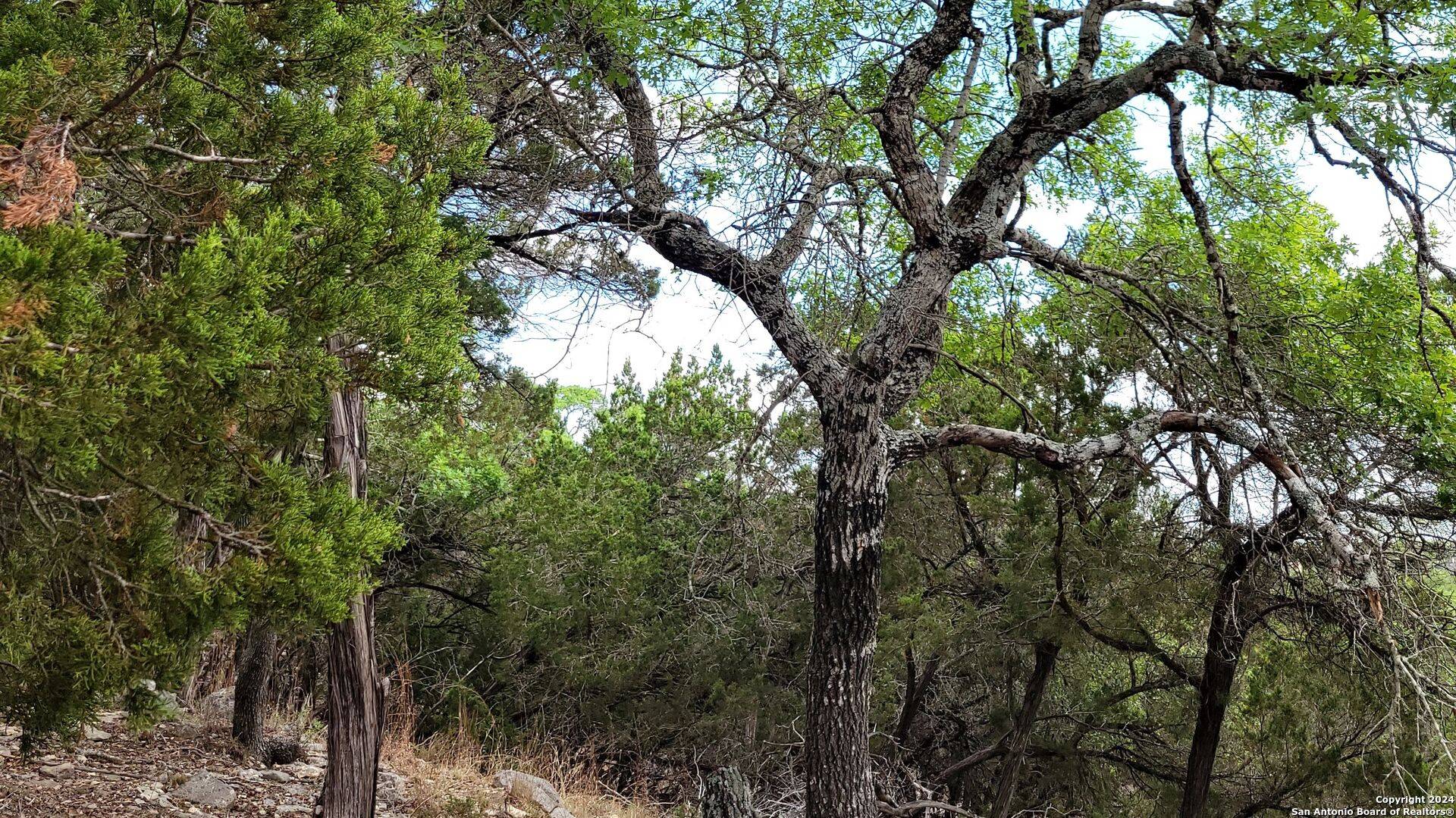 Bulverde, TX 78163,2515 Smoke Rise Canyon