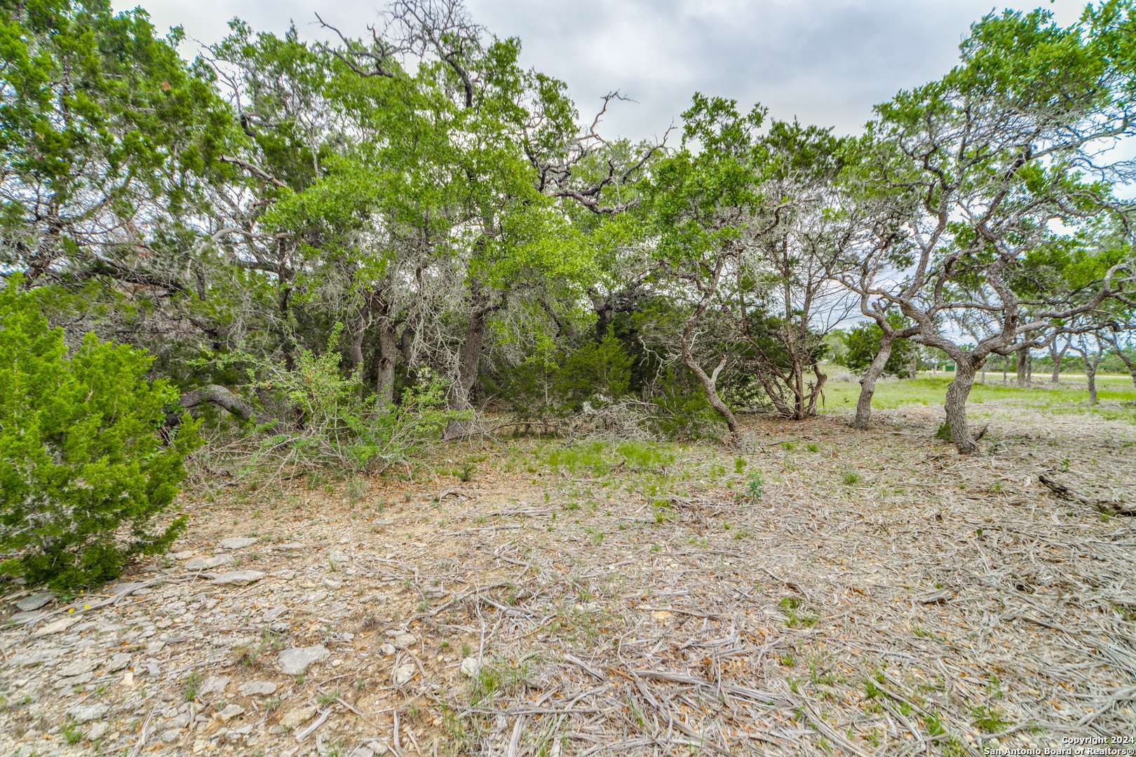Bulverde, TX 78163,980 Scarlett Ridge