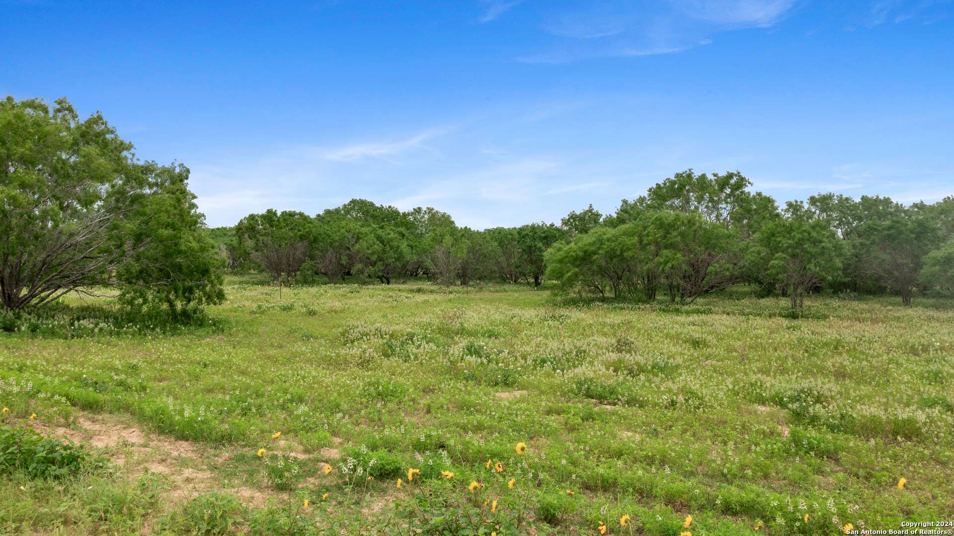 Floresville, TX 78114,1467 County Road 120 Unit B