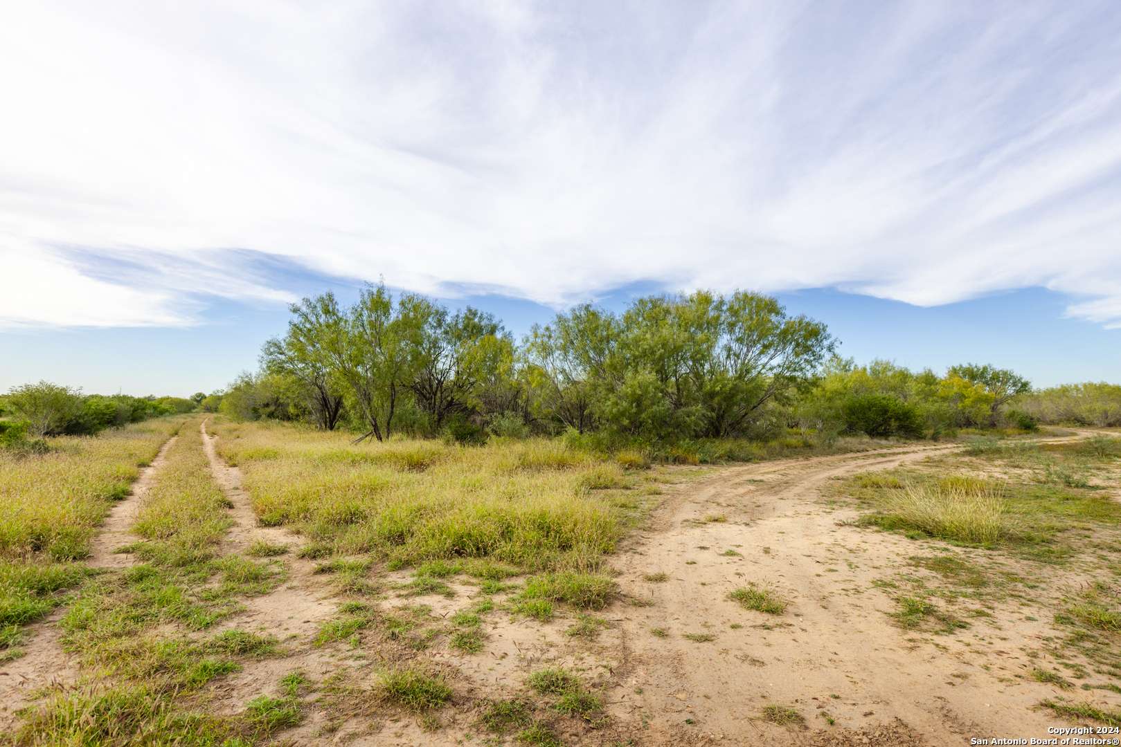 Pearsall, TX 78061,0 TBD FM 1581