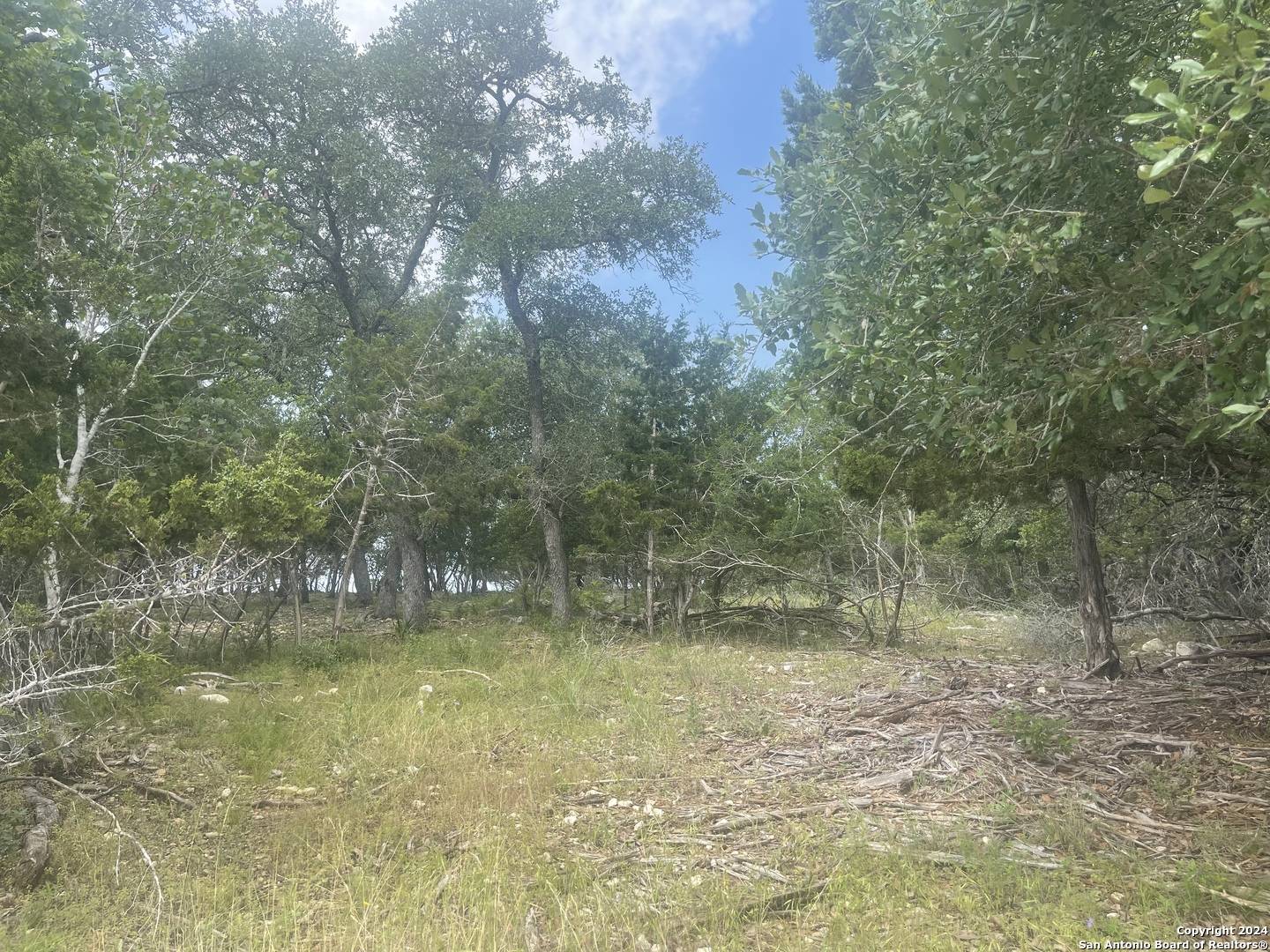 New Braunfels, TX 78132-2331,847 SHADY HOLW