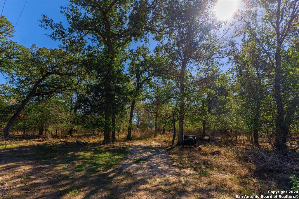 Kingsbury, TX 78638,3597 Baker