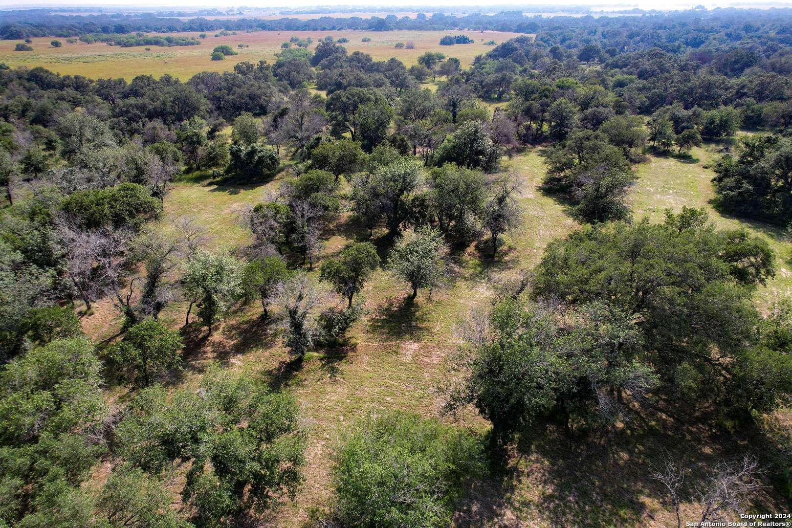 Natalia, TX 78059,210 County Road 7812